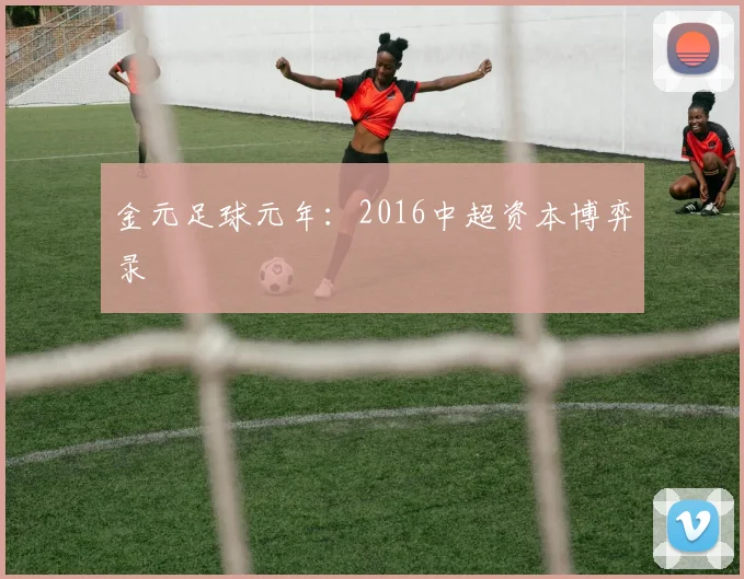 金元足球元年：2016中超资本博弈录