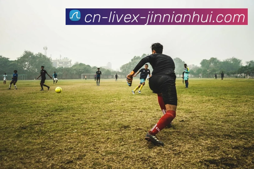 金年会体育APP 高清赛事图